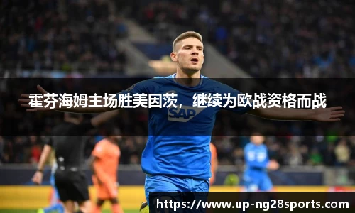 霍芬海姆主场胜美因茨，继续为欧战资格而战