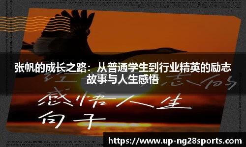 张帆的成长之路：从普通学生到行业精英的励志故事与人生感悟