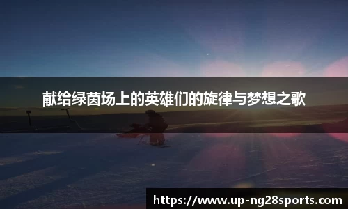 献给绿茵场上的英雄们的旋律与梦想之歌